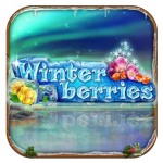 winterberries-logo